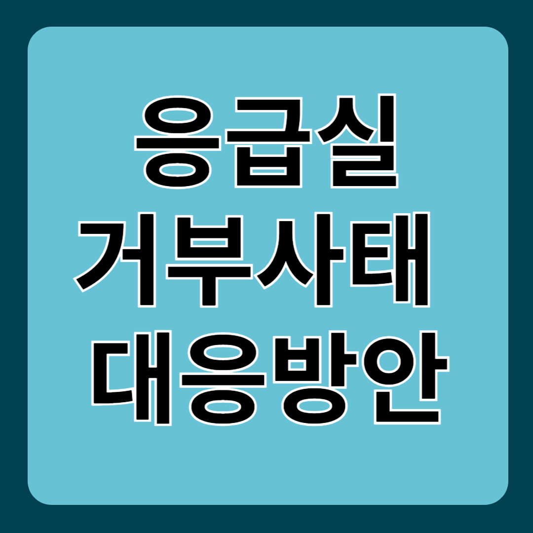 응급실 거부 사태 대응 방안