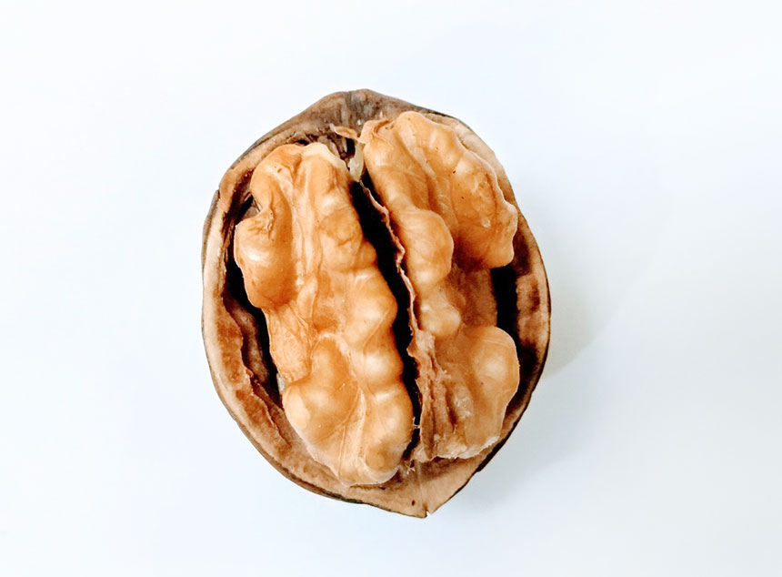 호두 효능