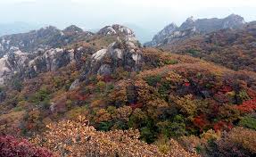 계룡산 단풍명소