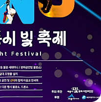 세종시 빛 축제