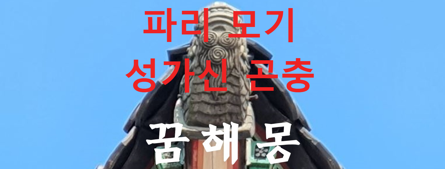 꿈해몽