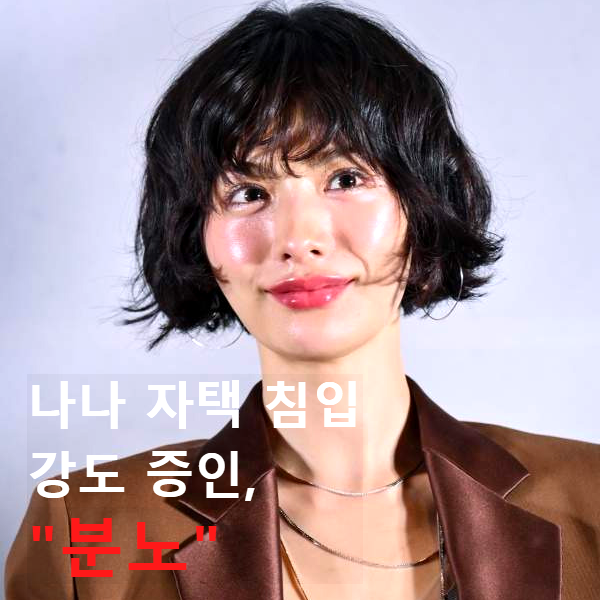 나나 자택 침입 강도 ❘ 재판 증언 트라우마 호소 분노