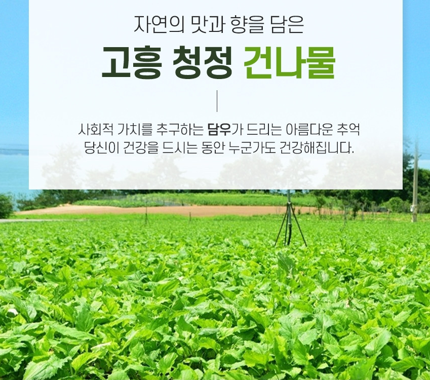 6시내고향 나물비빔밥 나물피클장아찌 나물선식 건나물 구매 정보 전남 고흥 담우