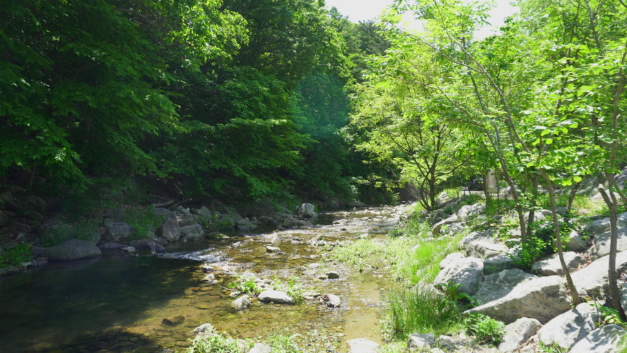 장흥계곡 이미지