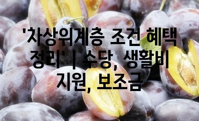 랜덤187