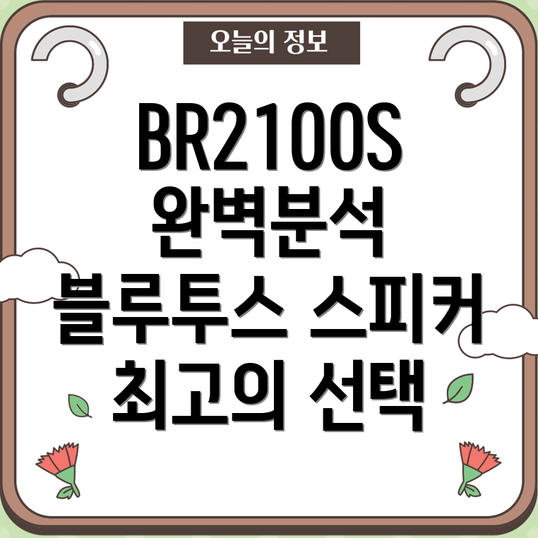 브리츠BR2100S블루투스스피커선택가이드및상세분석