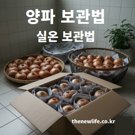 양파 실온 보관법 – 신문지로 감싸 통풍되는 박스와 채반에 보관
