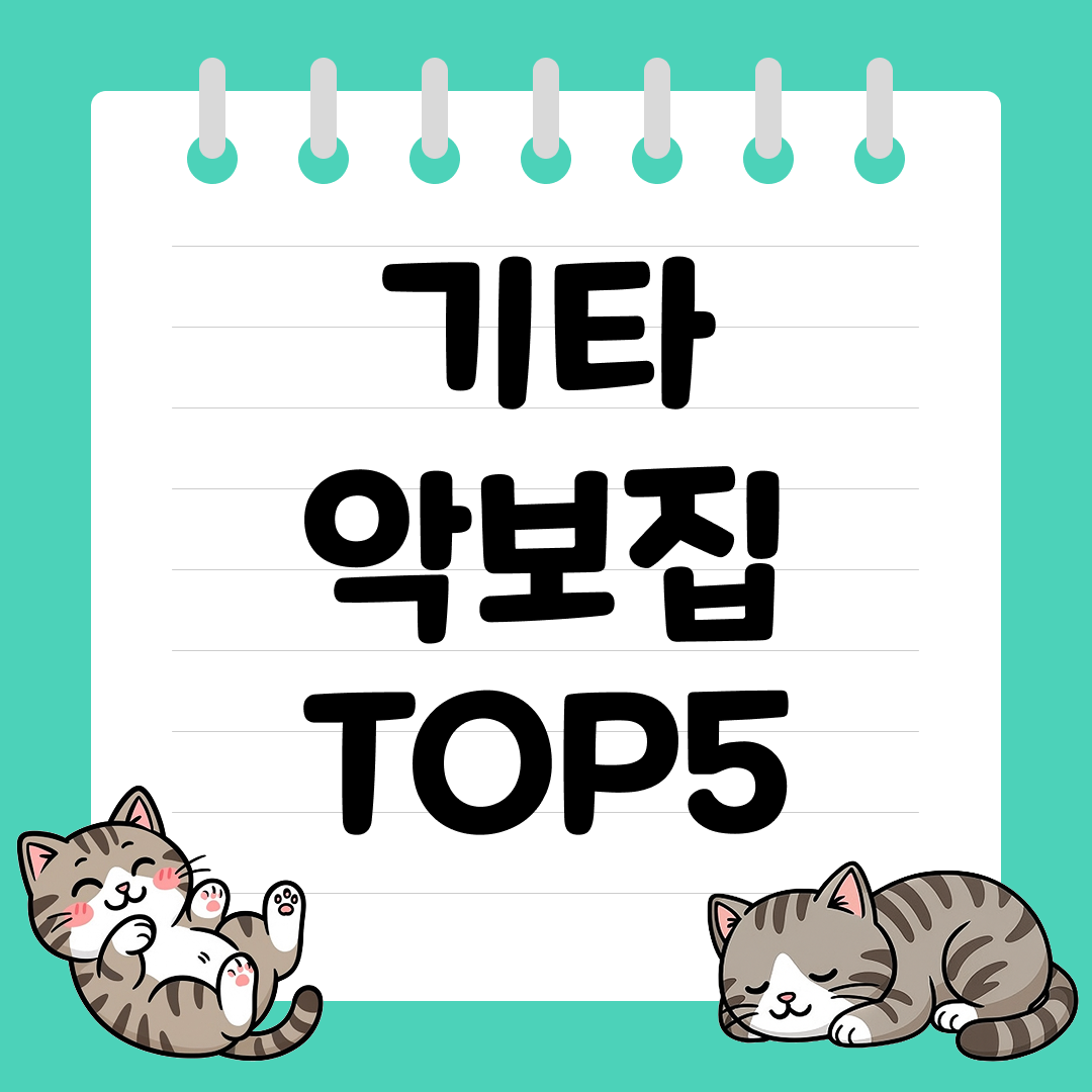 기타 연주 실력을 키워주는 인기 기타 악보집 추천 순위 TOP5