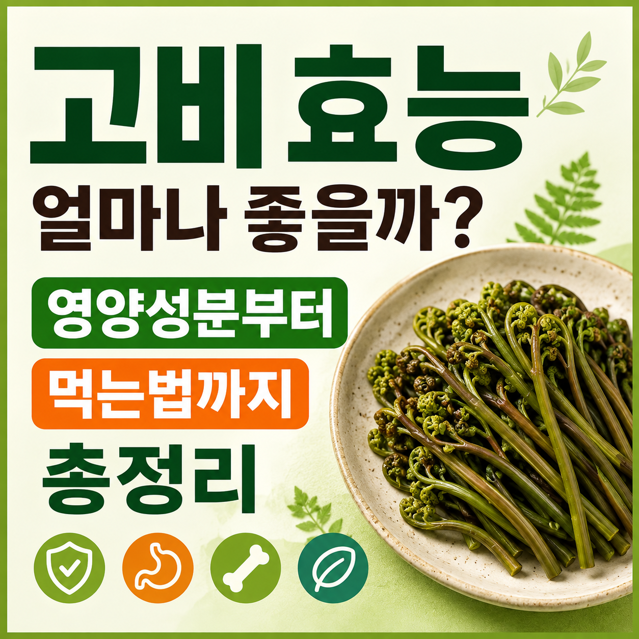 고비 효능