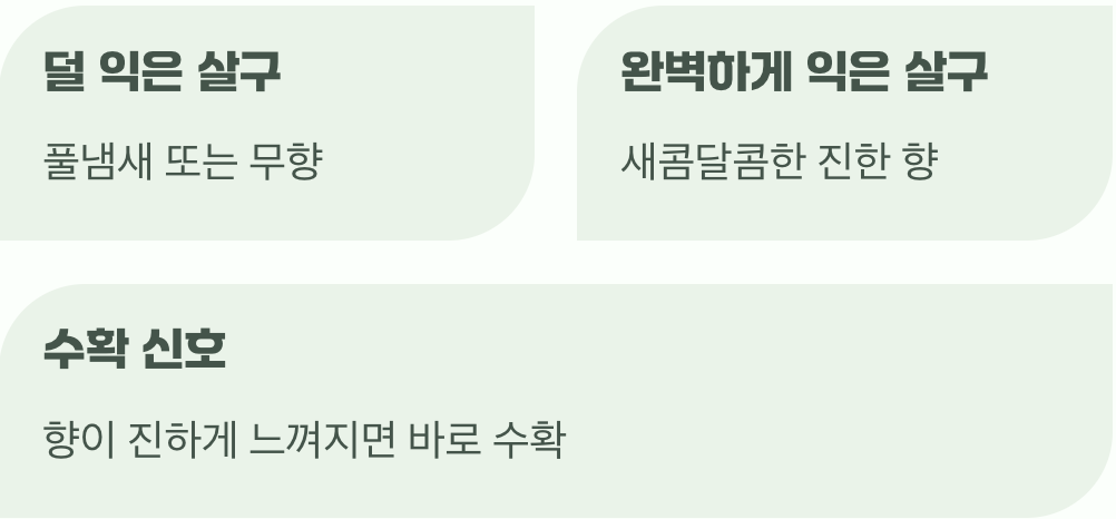 마지막 신호: 코끝을 스치는 달콤한 향기