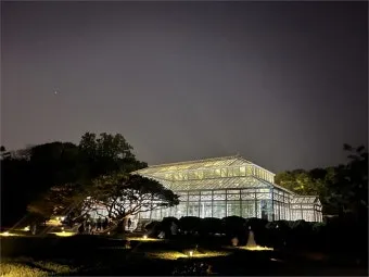 창경궁 야간개장 물빛연화 창경궁 야간개장 인터넷예매 예매 요령_20