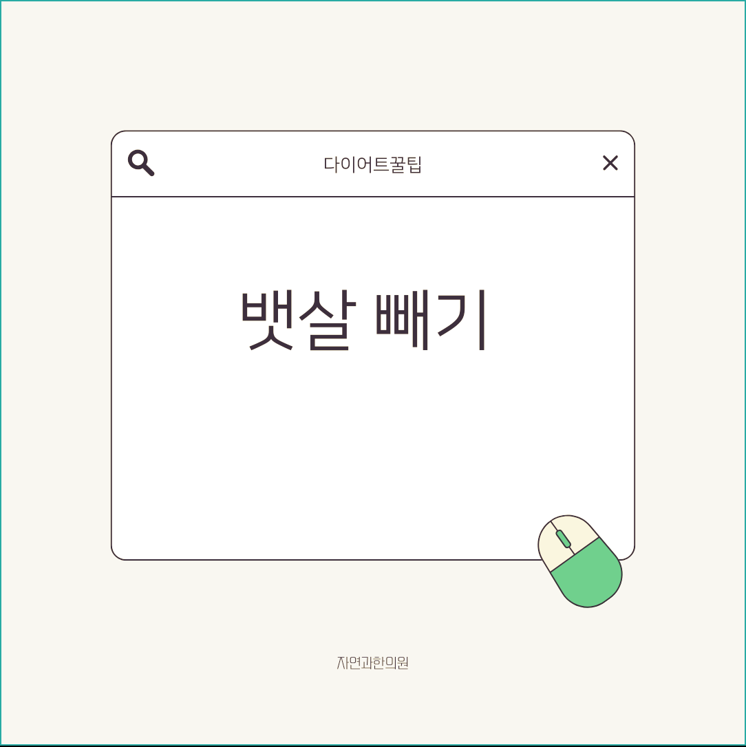 뱃살 빼기 단백질을 충분히 챙겨보세요