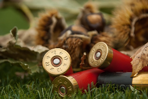 군사 이유로 폐쇄된 마을 &ndash; 출입금지 지역의 기억과 복원 시도