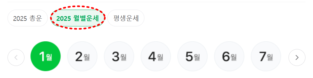 2025 네이버 신년운세 무료운세 바로가기