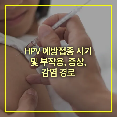 HPV 예방접종 시기 부작용 증상 감염경로