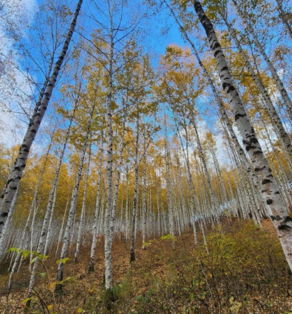추석 연휴 가기 좋은 국내 여행지 추천