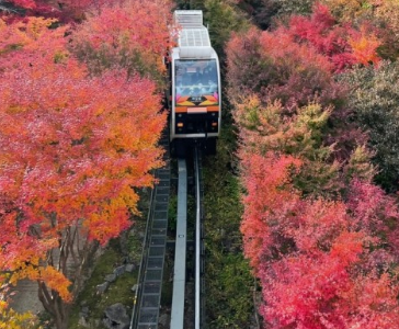 2024화담숲 가을단풍축제