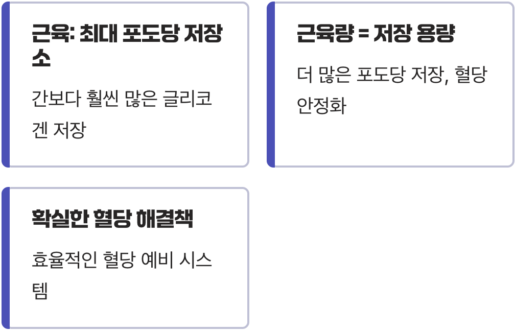 우리 몸 최대의 '포도당 창고'를 키워라