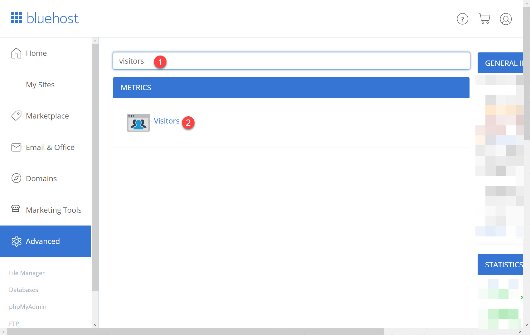블루호스트에서 최근 방문자 IP 주소 확인하는 방법 (cPanel) - Visitors 툴