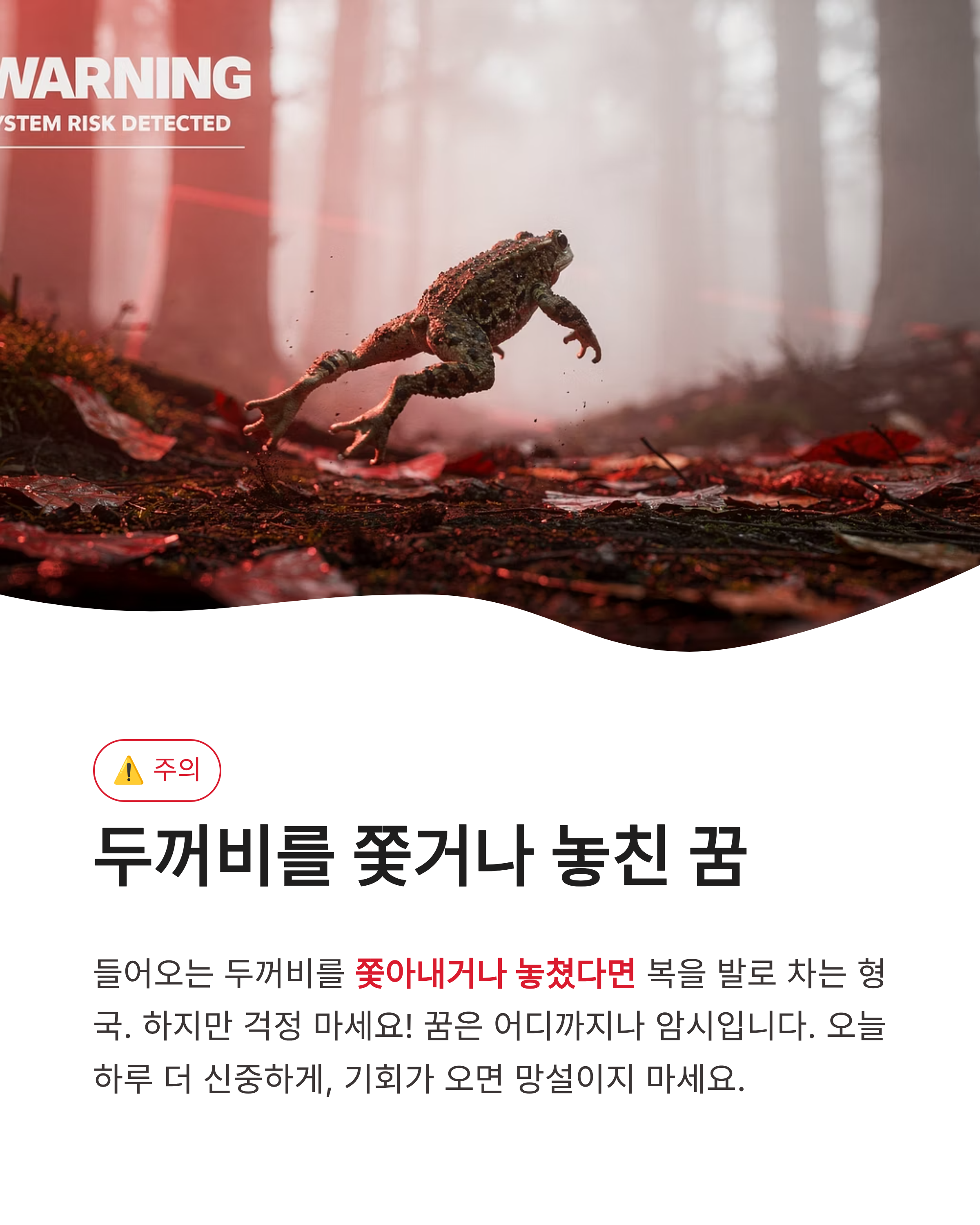 두꺼비 꿈 해몽 큰 황금 두꺼비가 집안으로 들어오는 꿈 대박 재물운일까?