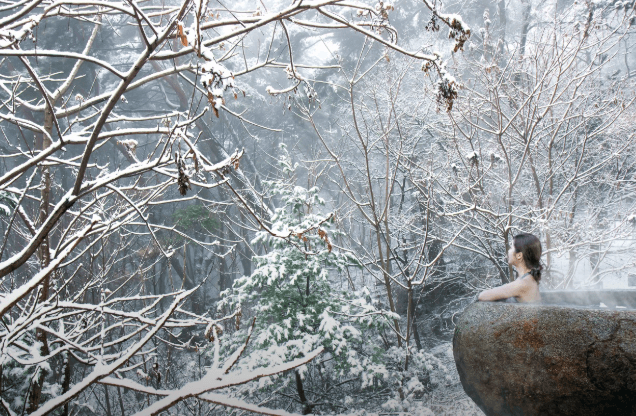 리솜포레스트-겨울풍경