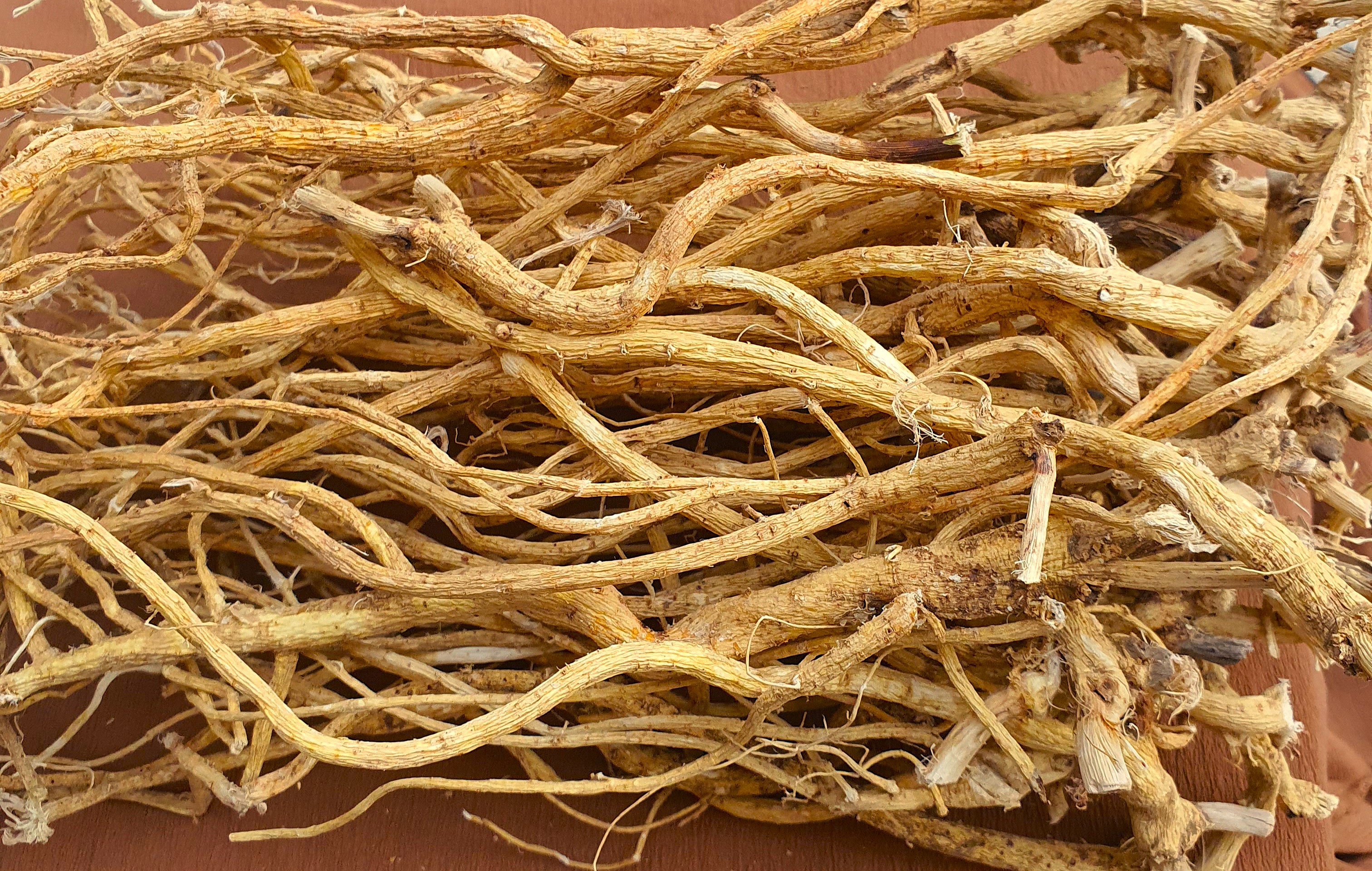 좋은 황기는 곧고 단단하며, 껍질이 노르스름한 것을 고르는 것이 좋습니다.