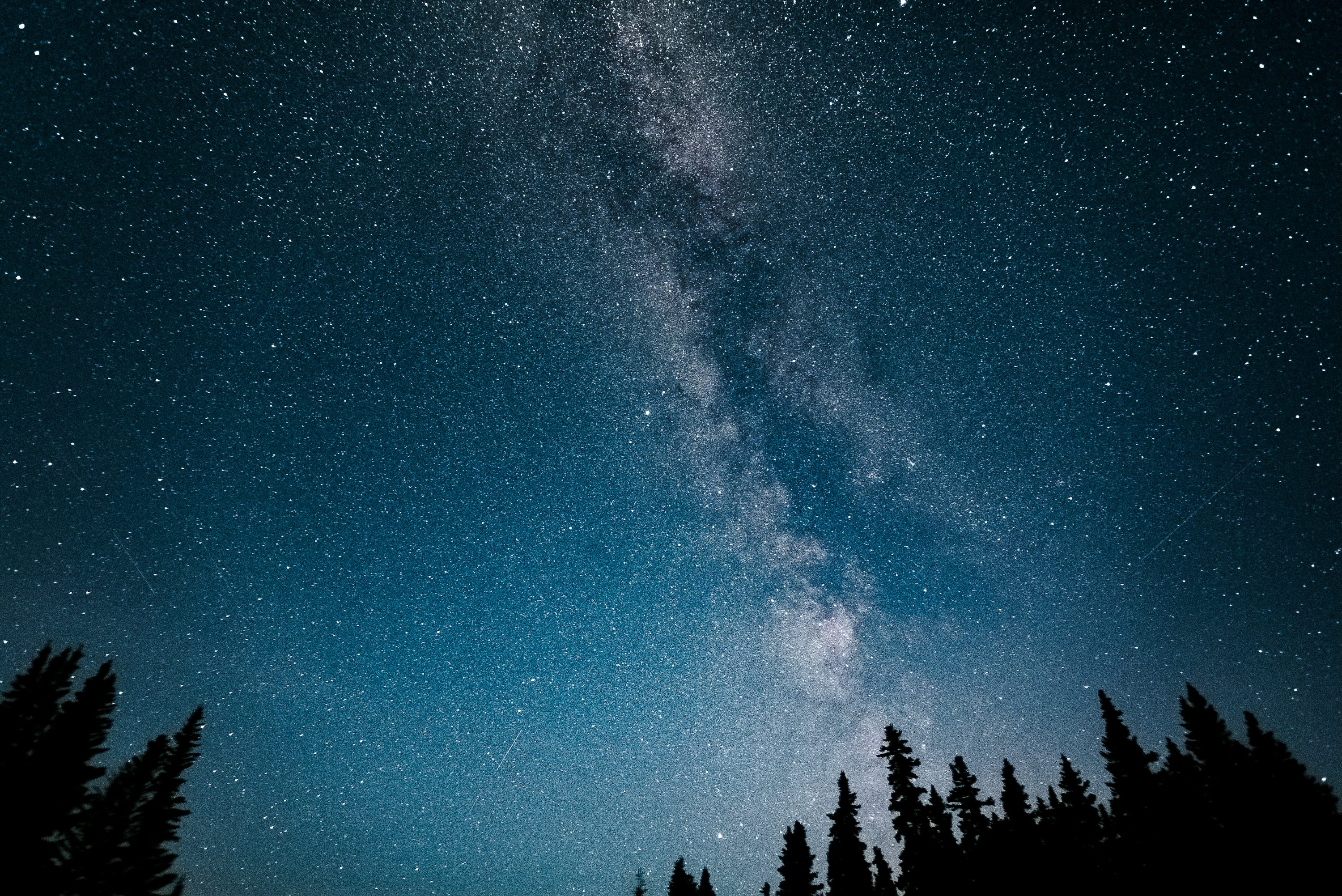 &copy; Andy Holmes, Unsplash