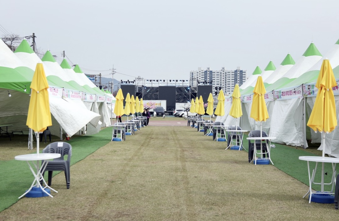 정읍 벚꽃 축제