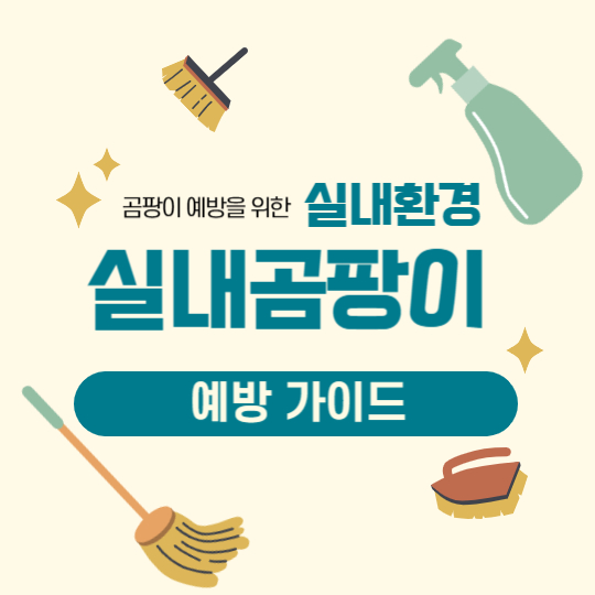 겨울철 실내 곰팡이 예방 가이드