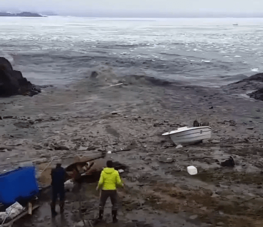일본 태평양 연안 쓰나미 경보