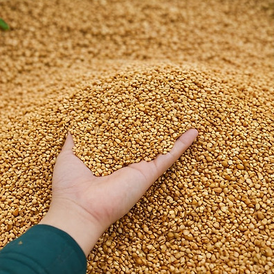 계절의 변화를 세분화한 24 절기 중 '처서' 이해하기