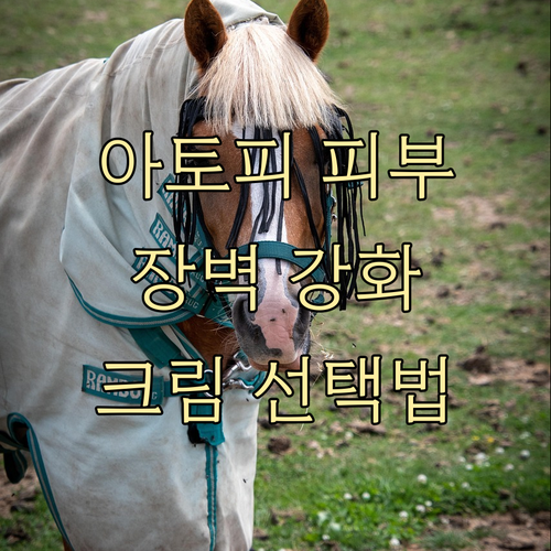 아토피 피부 필수템, 피부 장벽 강화..