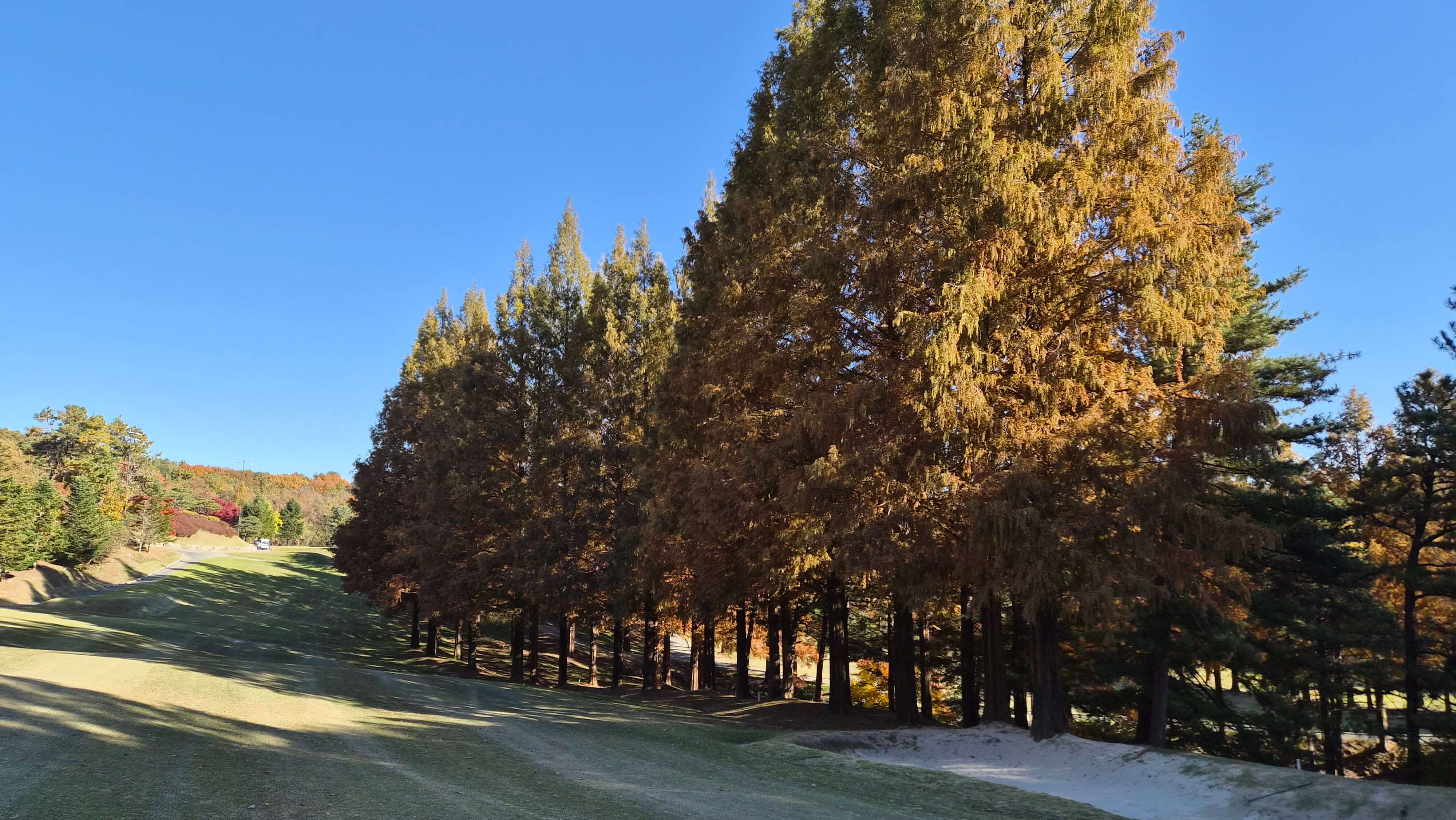 골프장 경험담 용인 한원CC 자연과 예술이 어우러진 명문 회원제 골프장