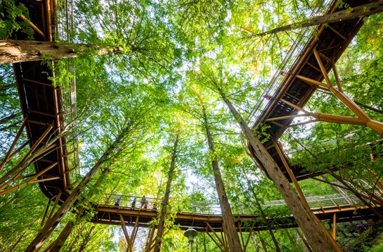 장태산자연휴양림-스카이웨이