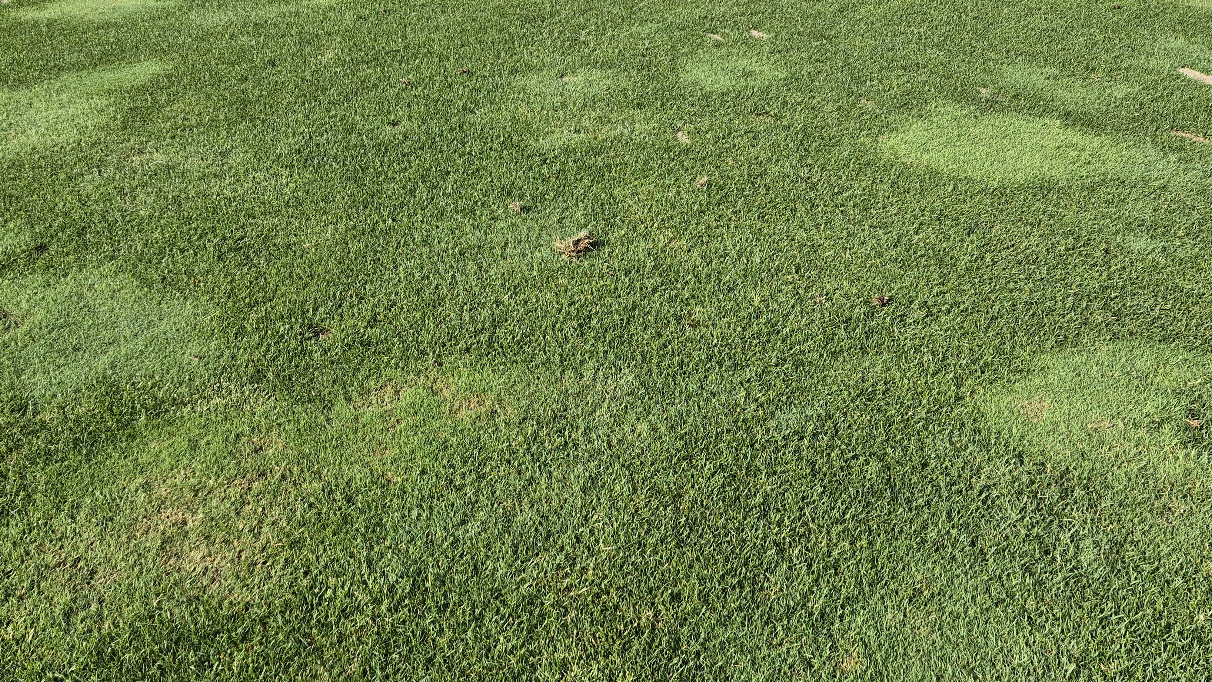 샤인데일cc 라운드 후기