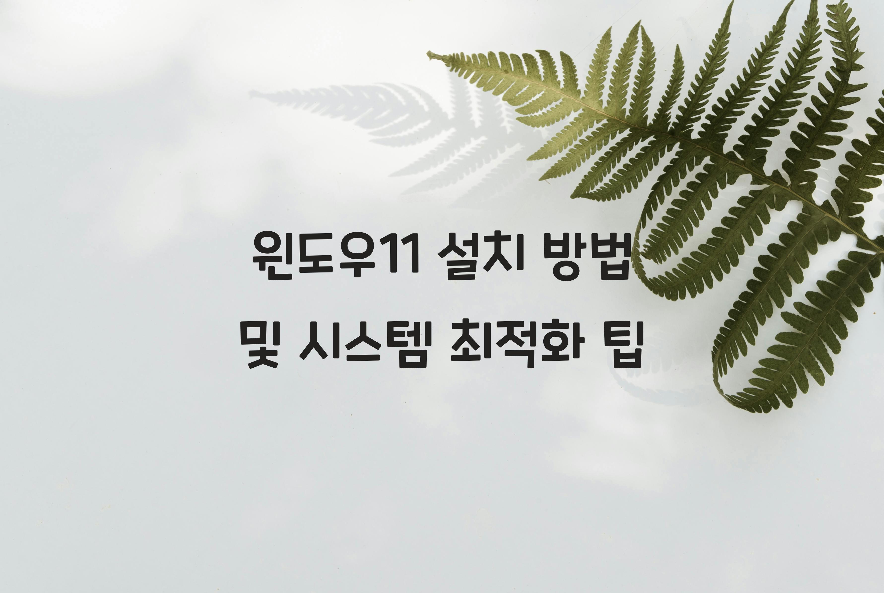 윈도우11 설치 방법