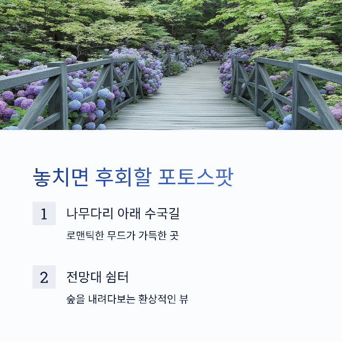 윤제림 수국길 동선 추천