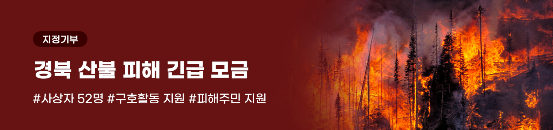 경북 산불 피해 긴급 모금