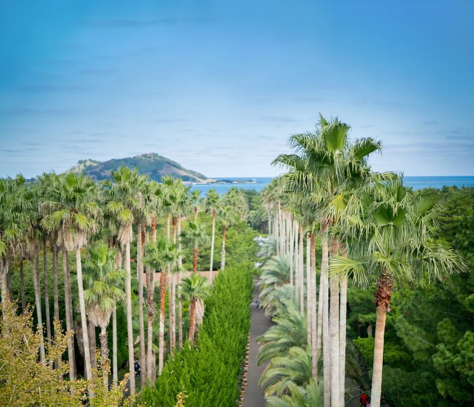 한림 공원 전경