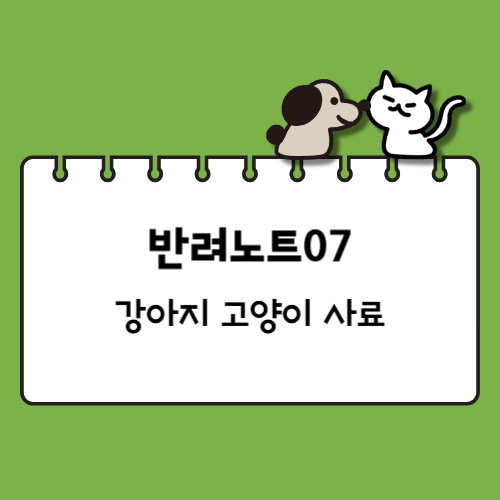 강아지와 고양이 사료
