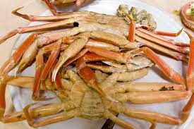 제27회 영덕대게축제 기본일정과 프로그램 소개