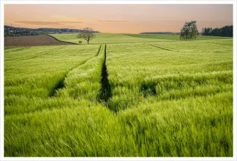 6월 날씨 전망 최신판 총정리_23