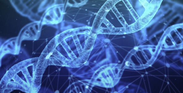 Single-cell metabolomics + transcriptomics 융합 분석