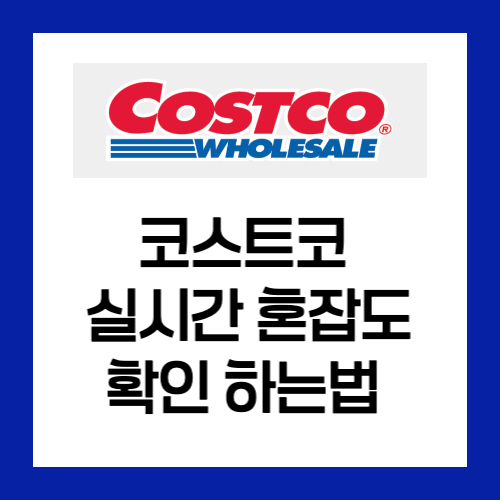 코스트코 실시간 고객수 확인