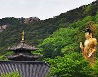 사찰 음식 체험 여행지 (템플스테이, 발우공양, 약선채식)