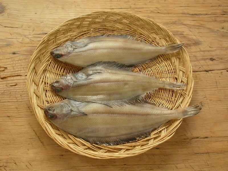 3월 제철음식 총정리