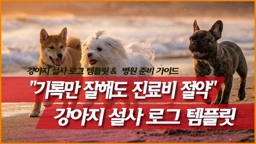 "기록만 잘해도 진료비 절약" 강아지 설사 로그 템플릿 & 병원 준비 가이드