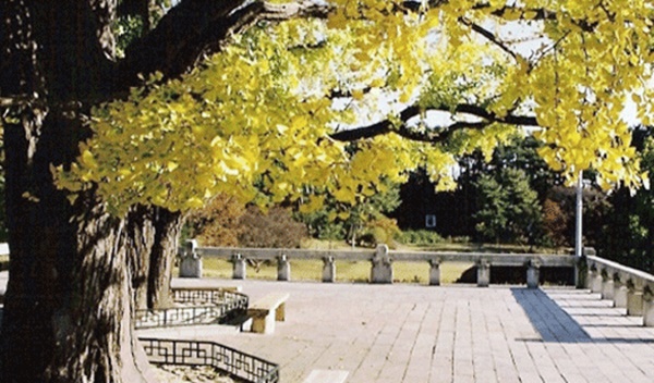 충남 가볼만한 곳 베스트10