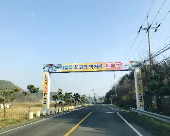 천북 굴 단지, 굴 축제_3