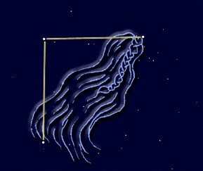 머리털 자리 이미지